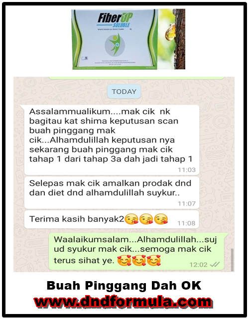FIBERUP-buah pinggang dah ok
