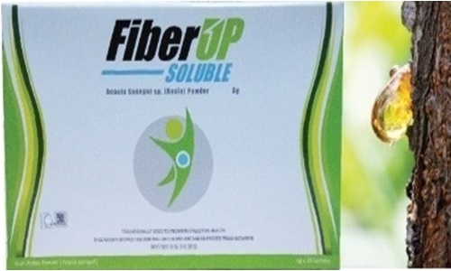 new-fiberup-500x300